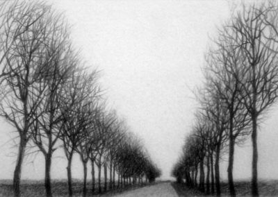 Ommen en omstreken 2