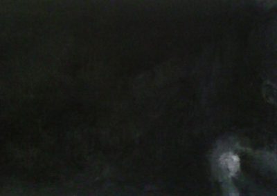 Zawadi Majaliwa darkelf 1